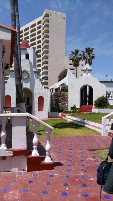 jardincito del salón