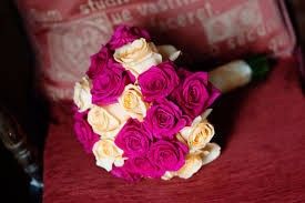 Rosa*