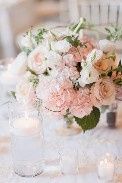 Rosa*