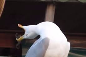 *****
