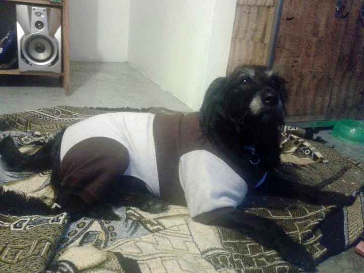 La foto de tu mascota! - 1