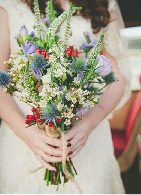 Flores de invierno, ayuda! - 4