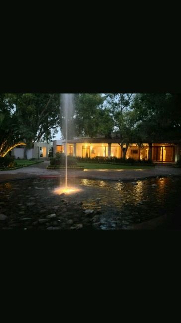 A 26 días y presentando mi jardín... - 2