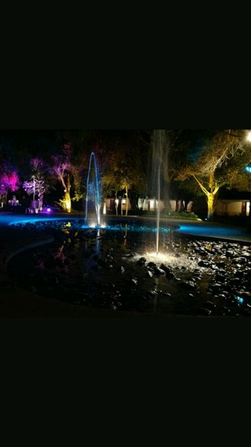 A 26 días y presentando mi jardín... - 3