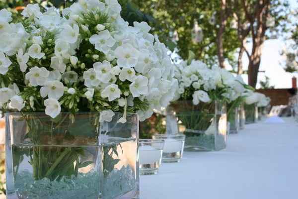 VERDE Y BLANCO DECORACION