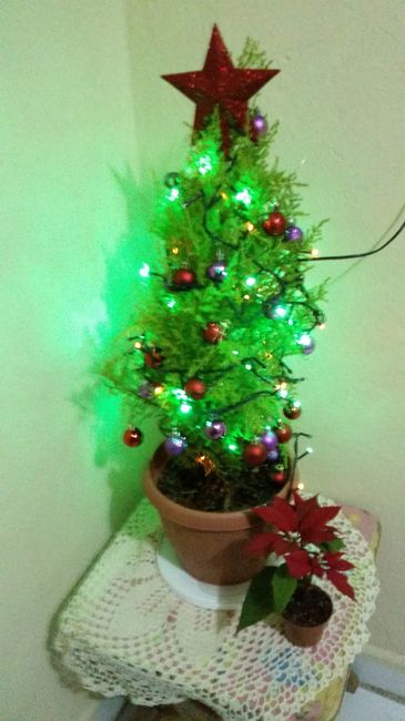 Navidad y año nuevo, con quien lo pasaran? ya pusieron su árbol?? - 1