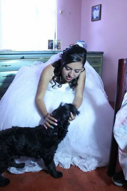 Mi bebé de 4 patas en mi boda !!! - 1