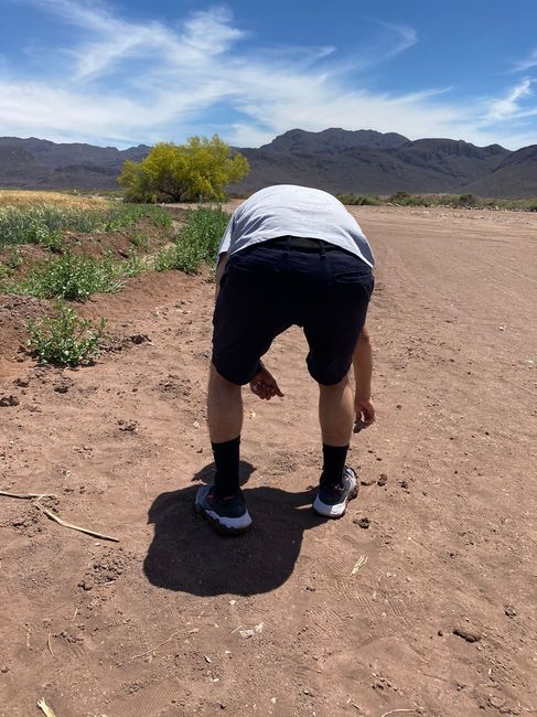 Competencia de Save the Date: En la naturaleza 2