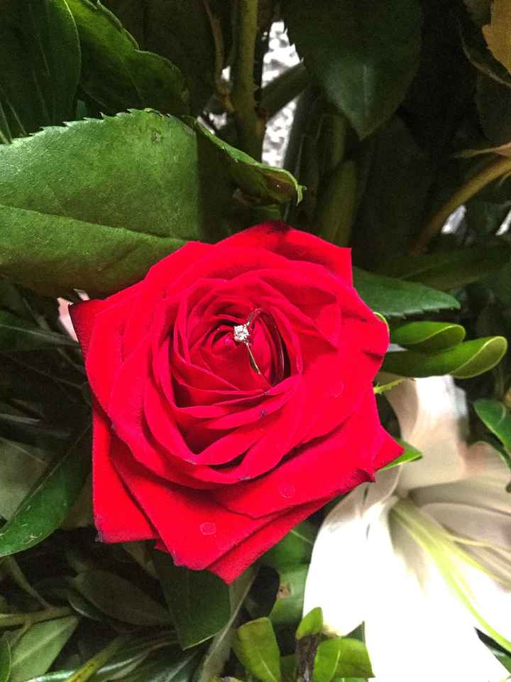 ¿De qué color es? - 1