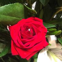 Presume la foto más bonita de tu anillo💍 - 1