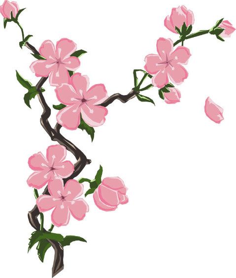 Flores para invitaciones