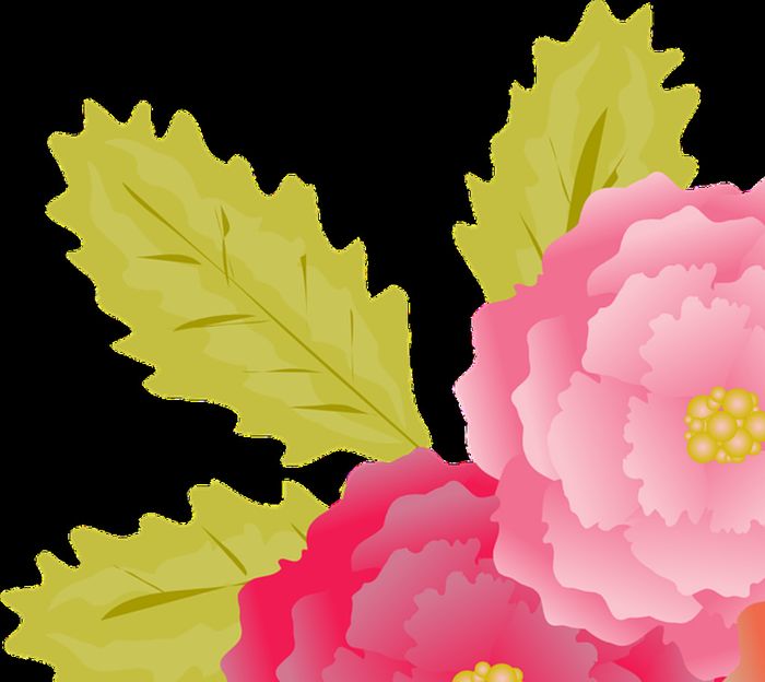 Flores