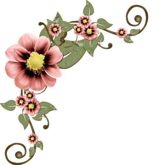 Flores para invitaciones