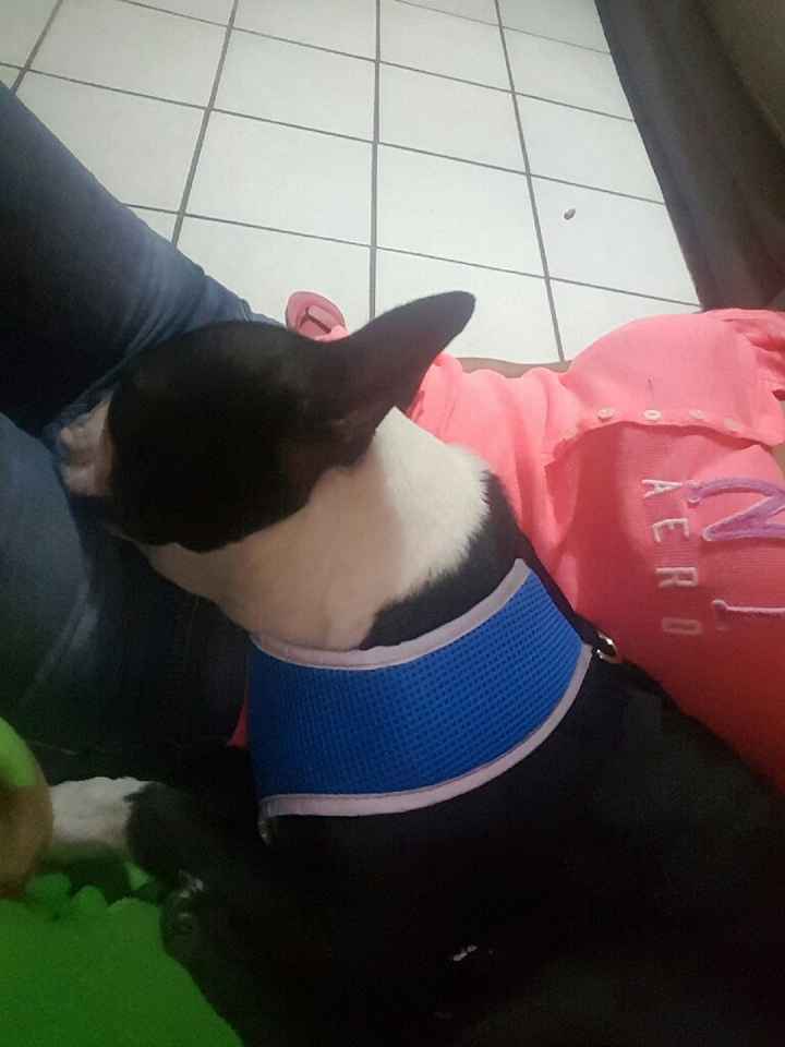 Ya casada y dejada ? - 1