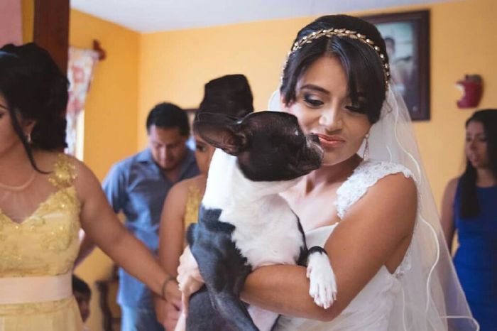 Ya casada y dejada ? - 5