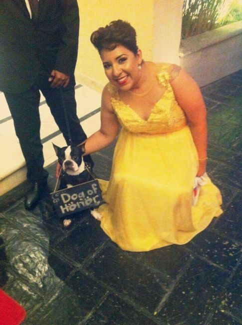 Ya casada y dejada ? - 12