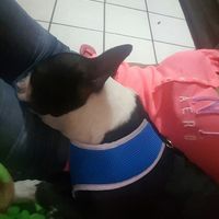 Ya casada y dejada ? - 1