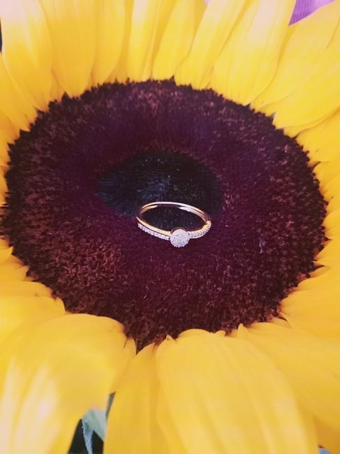 Reto con regalo: Sube una foto de tu anillo🎁 3