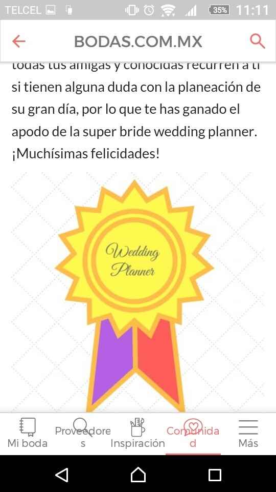 Mi nivel de bodas es novia experta nivel wedding planner - 2