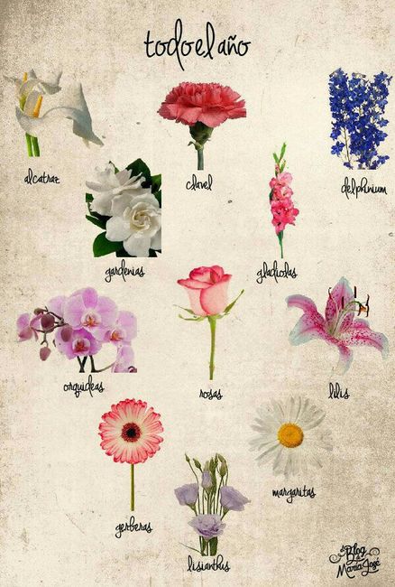 Significado de las flores - 3