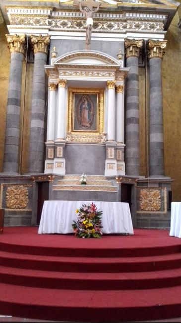 Pequeños avances a 73 dias  - 2