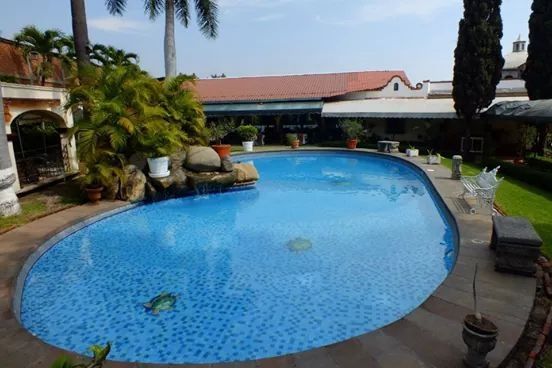 Pequeños avances a 73 dias  - 3