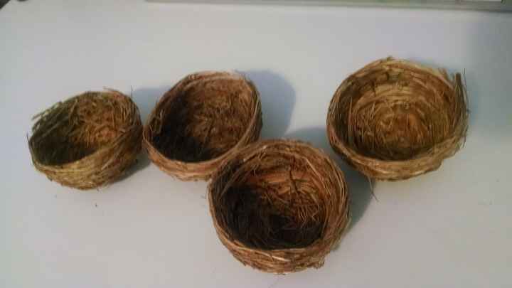 niditos
