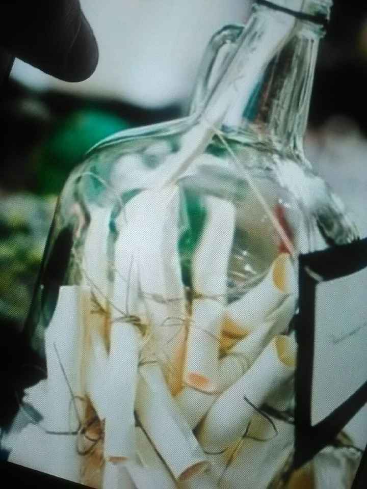 Libro de firmas - 13