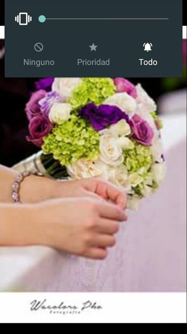 ¿que color manejarán en su boda? - 6