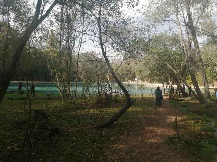 Luna de miel romántica-cabañas en Huasca de Ocampo - 12