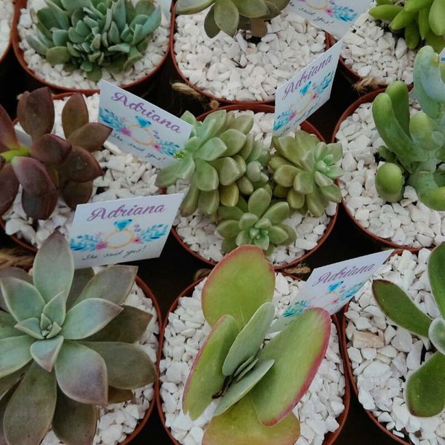 Mi estilo de boda es Moderno, con un toque Clásico. 5