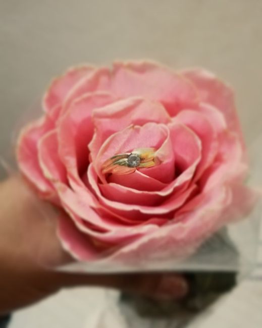 a presumir su anillo 💍 - 1