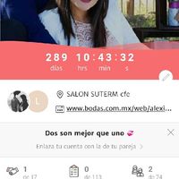 ¡Escribe solo cuántos días le quedan a tu contador! - 1