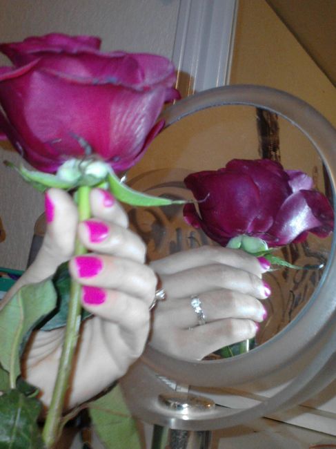 anillo 
