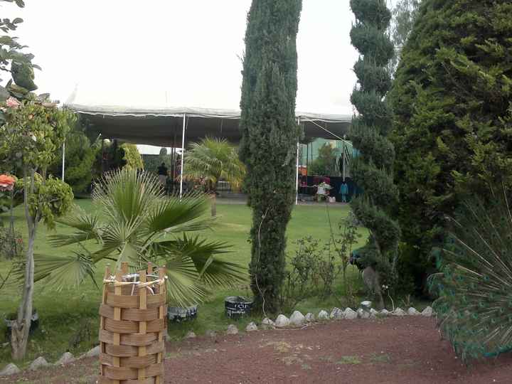 Jardin