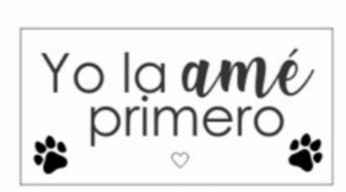 Ellos también formarán parte de mi boda 🥰🥰🥰🐕🦮 - 1