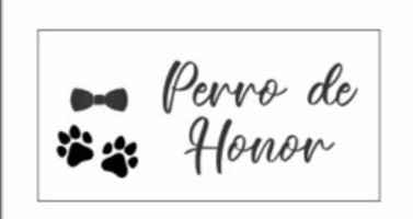 Ellos también formarán parte de mi boda 🥰🥰🥰🐕🦮 - 2