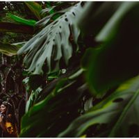 Sesion de fotos en slp - 5