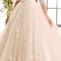  Bride tul ✨ - 1