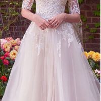  Bride tul ✨ - 2