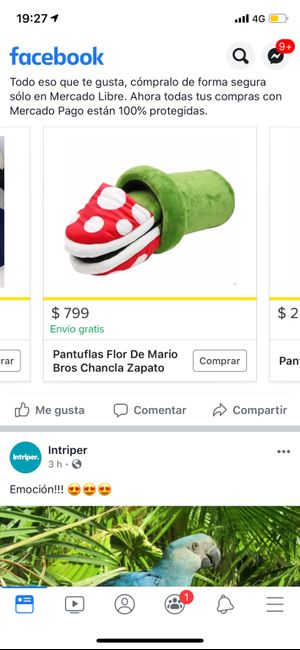 Mi boda .. Temática de Mario broos - 1