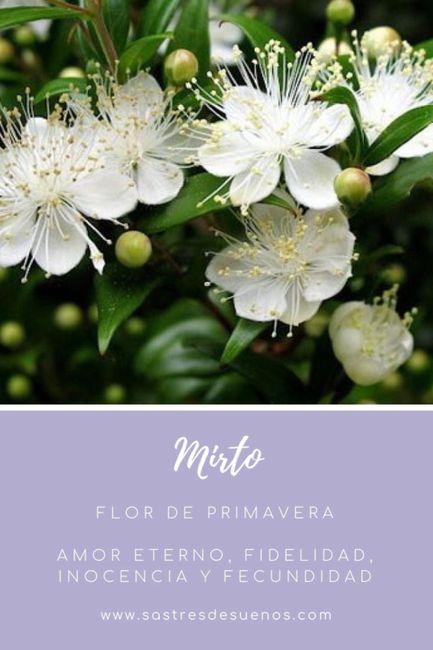 Significado de las flores! - 5