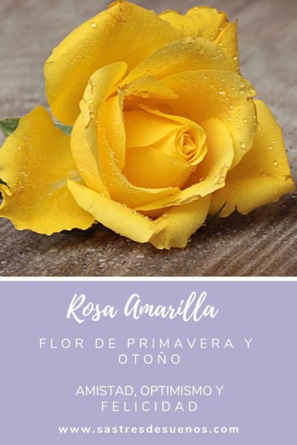 Significado de las flores! - 6