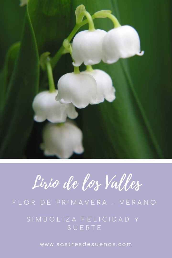 Significado de las flores! - 2