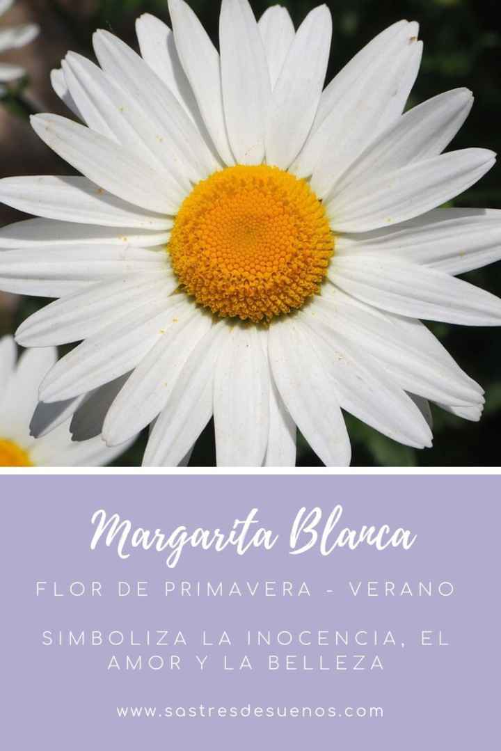 Significado de las flores! - 4