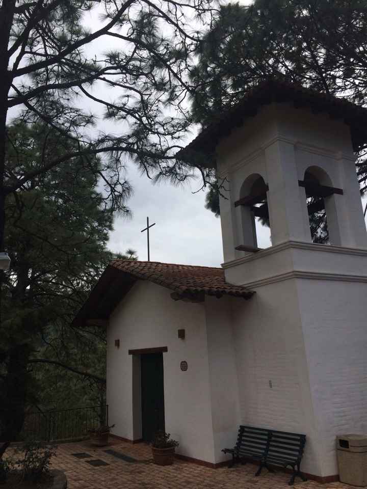 El bosque donde sera nuestra boda - 1