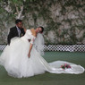 Stephania