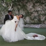 Stephania
