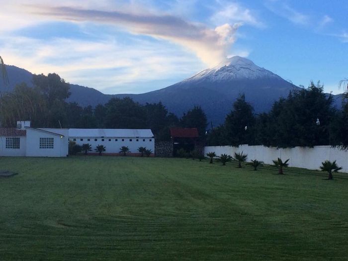 Boda en jardin en diciembre?? - 1