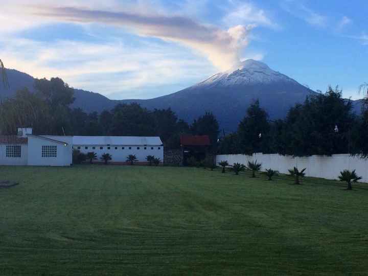 Boda en jardin en diciembre?? - 1
